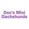 Doc's Mini Dachshunds gallery