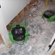 SERVPRO of Newington / Central Hartford