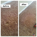 America United Carpet Services - Carpet & Rug Repair