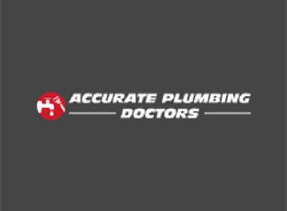 Accurate Plumbing Doctors - Palatine, IL