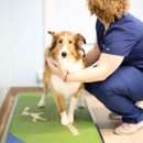 Rye Harrison Veterinary Hospital - Veterinarians