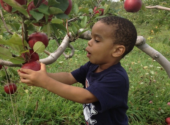 Eddy's Fruit Farm - Chesterland, OH