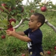 Eddy's Fruit Farm