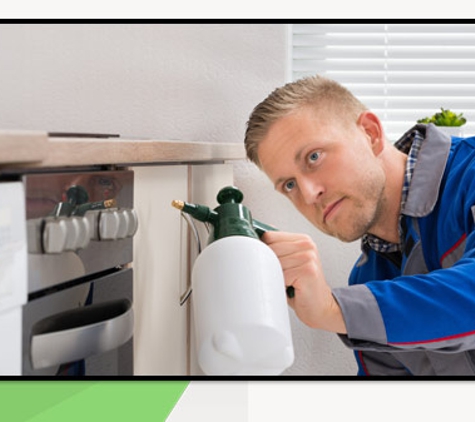 Albury Wodonga Pest Control - Albury, NSW. Termite Control & Treatments