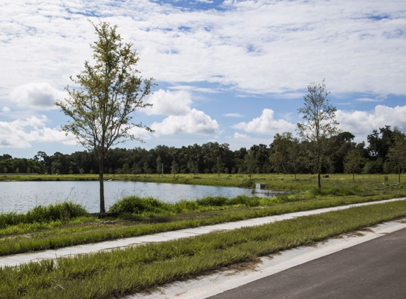 Heron Creek By Maronda Homes - Palmetto, FL