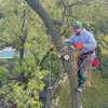 Tomax Tree Service gallery