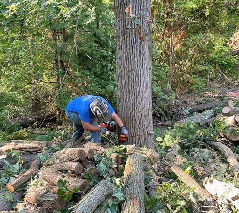 Trustfall Tree Service - De Pere, WI