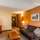 Quality Inn & Suites - Motels