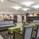 Comfort Inn & Suites Snyder