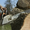 Stoneberger's Tree Service gallery