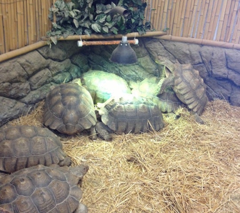 The Reptile Zoo - Fountain Valley, CA