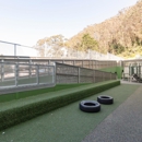 UCSF at Kirkham Child Development Center - Day Care Centers & Nurseries