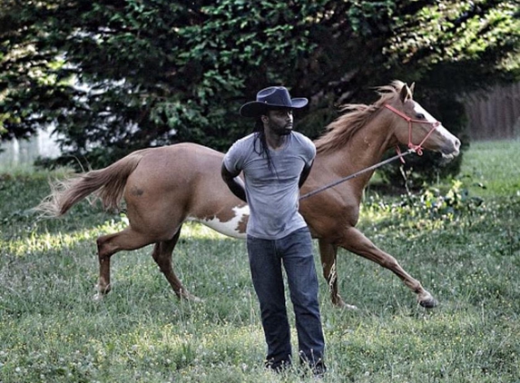 JD's Horse Ranch - Fairburn, GA