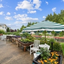 Clearwater Springs by Cogir - Assisted Living & Elder Care Services