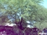 Rolfing-Clay Cox - Massage Therapists