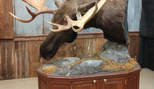 Callaghan Road Animal Hospital - San Antonio, TX. https://www.globaltaxidermymounts.com/product/eastern-canadian-moose-pedestal-taxidermy-mount-for-sale/