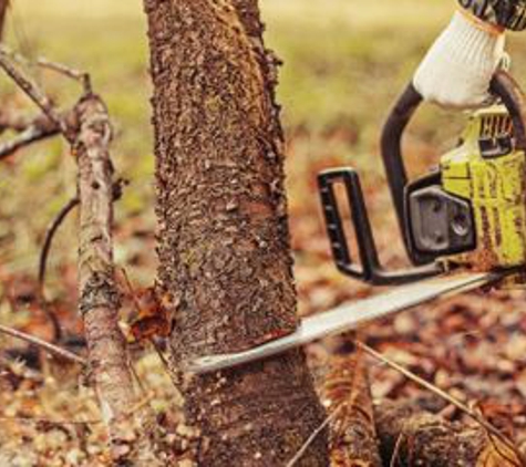 Maxon's Tree Service - White Lake, MI