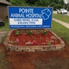 Pointe Animal Hospital gallery