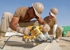 Amerigroup Construction Inc - Roofing Contractors