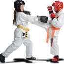 Next Level Martial Arts and Fitness - Self Defense Instruction & Equipment