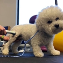 Companion Animal Medical Center