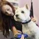 Orange County Mobile Dog Grooming