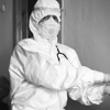 Evolution Pest and termite gallery