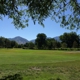 Nibley Park Golf Course