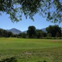 Nibley Park Golf Course