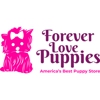 Forever Love Puppies Miami gallery