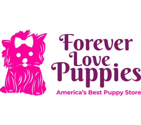 Forever Love Puppies Pembroke Pines - Pembroke Pines, FL