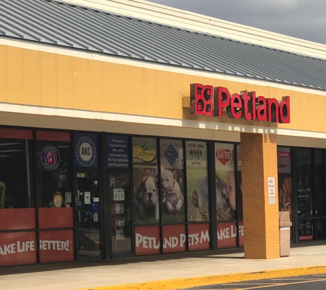 Petland - Orlando, FL