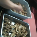Great Wall Restaurant - Chinese Restaurants