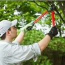 Harry Hannah Tree Service - Tree Service