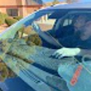 Prime Windshields - Auto Repair & Service