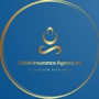 Colvin Insurance Agency Inc