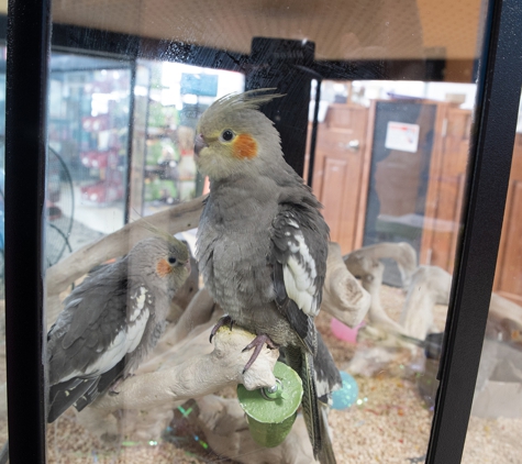 Petland Overland Park - Overland Park, KS