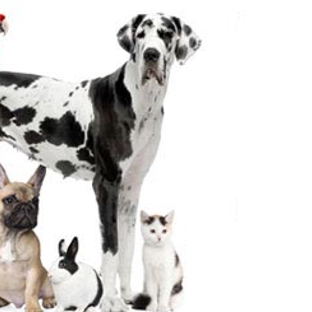 The Animal Hospital - Kalgoorlie, WA