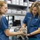 Livewell Animal Hospital of Elizabeth