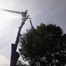 Tri County Tree Service - Tree Service