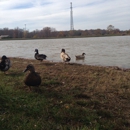 Northern Fauquier Community Park - Parks