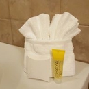 Ascot Suites - Motels