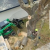 Supreme Tree Service gallery