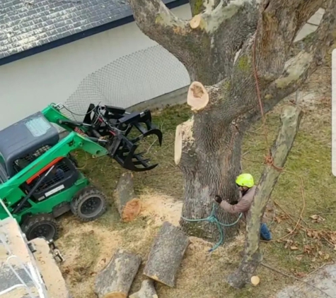 Supreme Tree Service - Pasco, WA