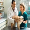 Cape Veterinary Hospital gallery