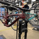 Earl's Cyclery & Fitness - Exercise & Fitness Equipment