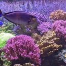 Reef eScape - Public Aquariums