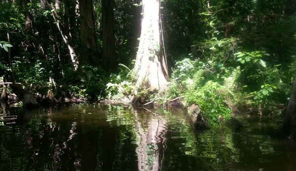 Kayaking Florida Waters - Leesburg, FL