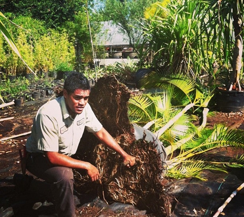 Mulkern Landscaping - Waimanalo, HI