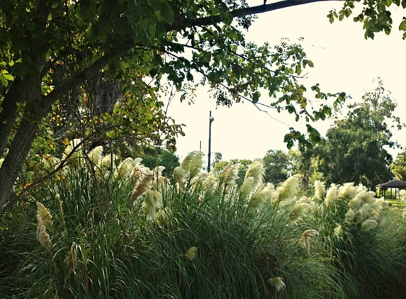 Bay Area Park - Houston, TX